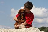 ENFANT ET CHIEN 347